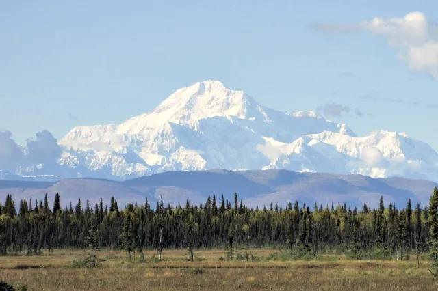 Ein schneebedeckter Berg hinter kleineren Bergen. Davor steht ein Wald.