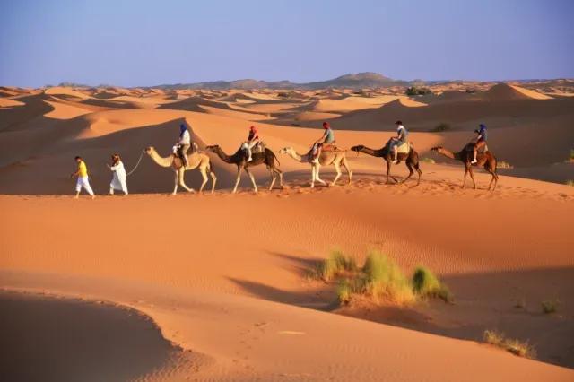 Eine Kamelkarawane aus fünf Kamelen zieht durch die Sanddünen der Wüste.