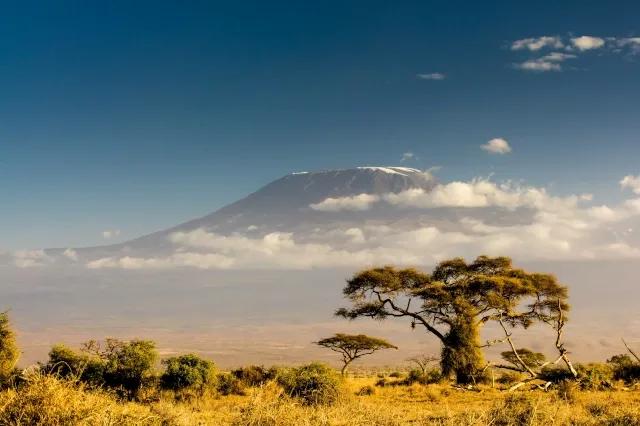 Tansania - Kilimanjaro am Nachmittag