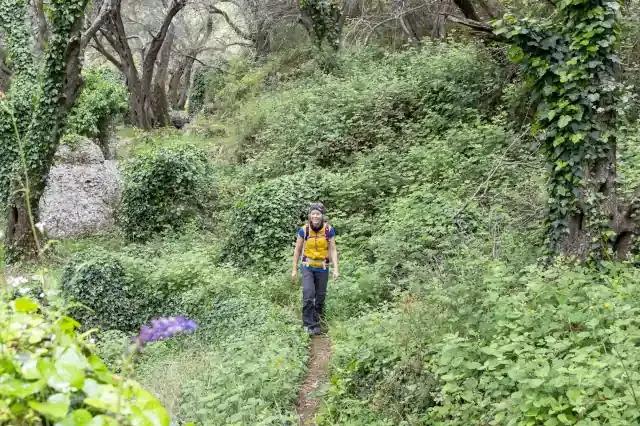 Frau läuft auf einem schmalen Pfad durch einen grünen Wald mit Bäumen, Wiese und Pflanzen