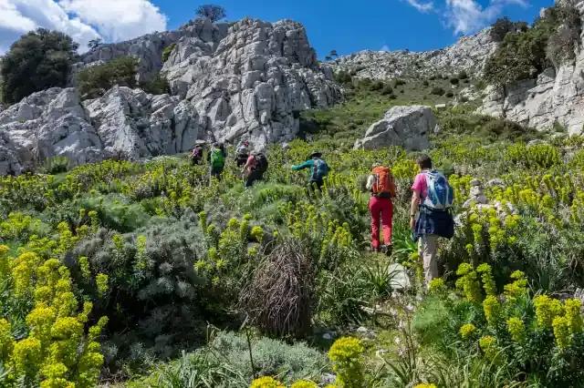 Gruppe von Wanderern läuft grünen Berghang mit grauen Felsen und grünen Pflanzen nach oben