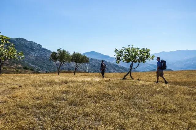 Zwei Wanderer mit Rucksack laufen hintereinander über karge Wiese mit einzelnen Bäumen