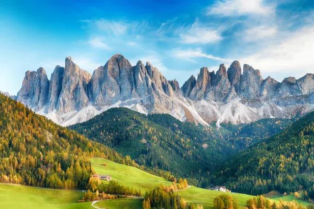 Panorama einer Alm Wiese, vor bewaldeten Berghängen und einem grauen Gebirgsmassiv unter blauem Himmel