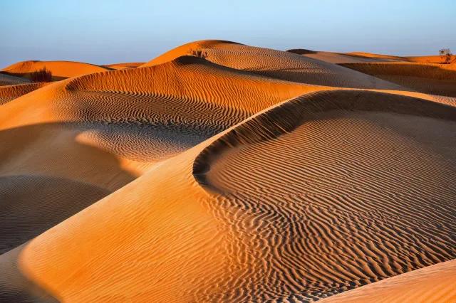 Weite Dünenlandschaft in der Wüste bei Sonnenuntergangsstimmung