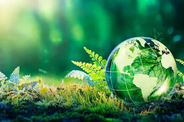 Auf einem grünen Waldboden liegt eine Glaskugel. Die Glaskugel stellt einen Globus dar. Im Hintergrund ist ein verschwommener Wald zu sehen.