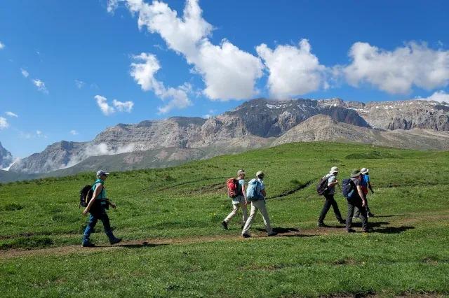 Sechs Wanderer gehen auf einem schmalen Pfad über eine grüne Wiese. Im Hintergrund sind felsige Berge zu sehen.