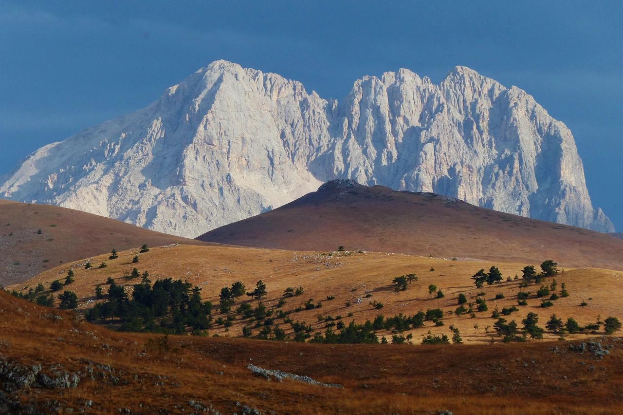 Mobile header background