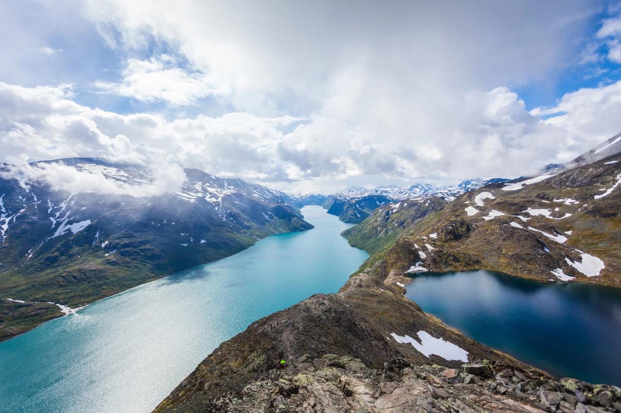 Mobile header background