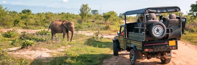 Ein Geländewagen steht auf einer Sandpiste. Ein Elefant geht über die Steppenlandschaft.