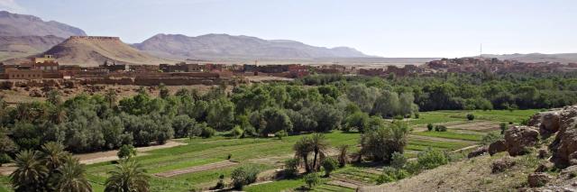 Grün bewachsene Felder mit einzelnen Bäumen. In der Ferne ist ein rötliches Gebirge.