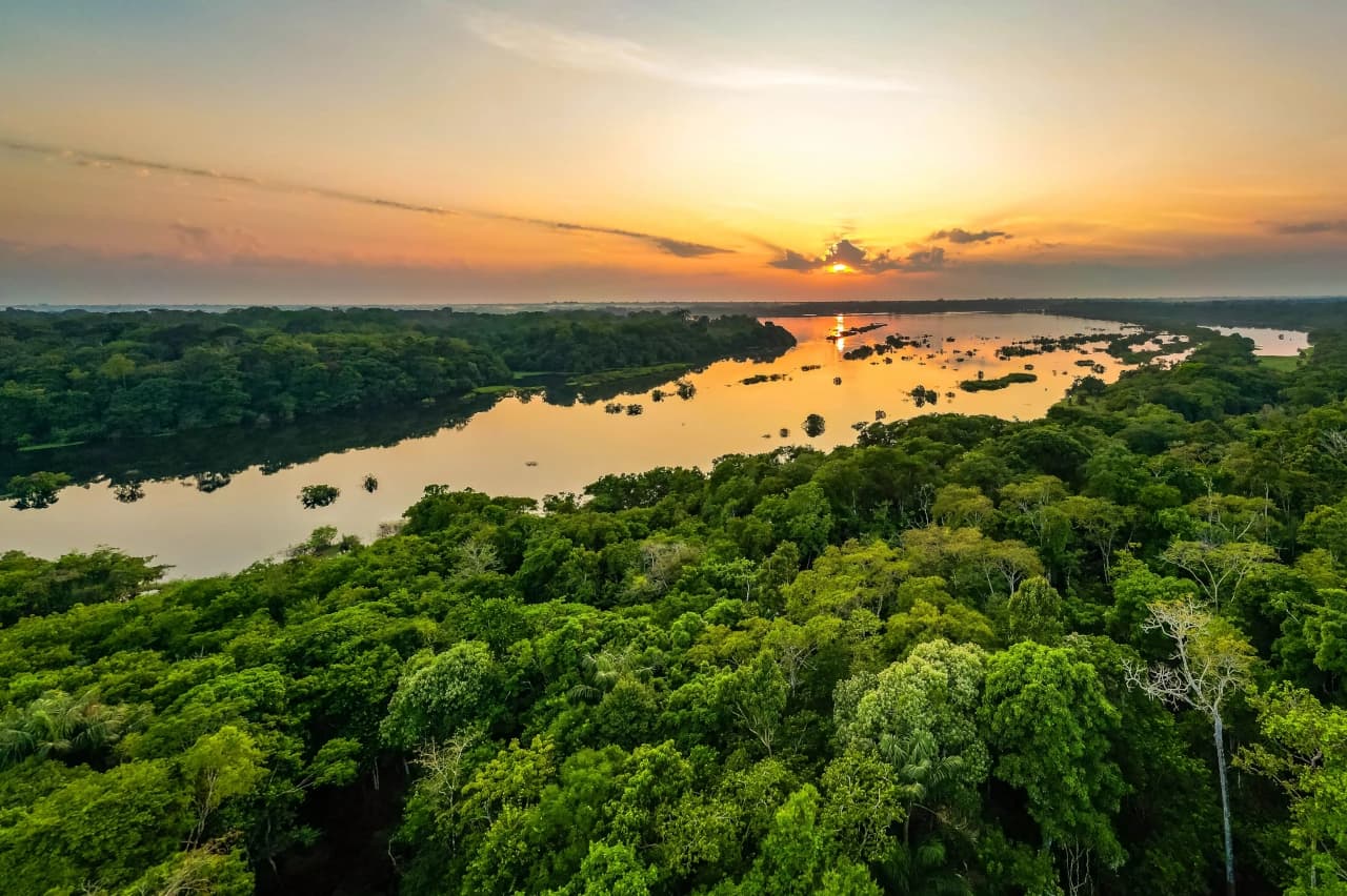 Mobile header background