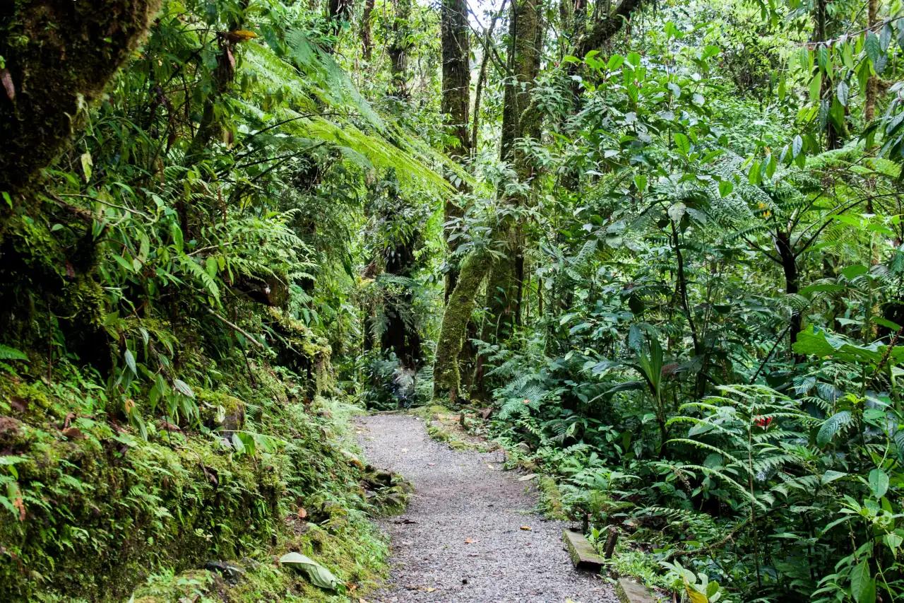 Mobile header background