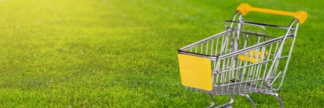 Ein Einkaufswagen mit gelbem Griff steht auf einer grünen Wiese.