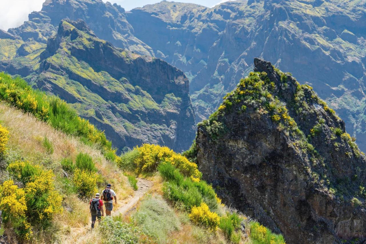 Mobile header background