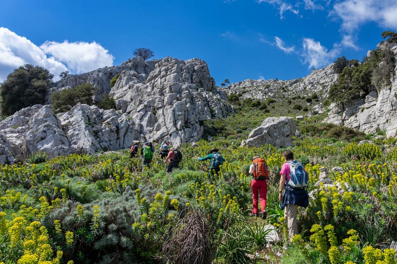 Mobile header background