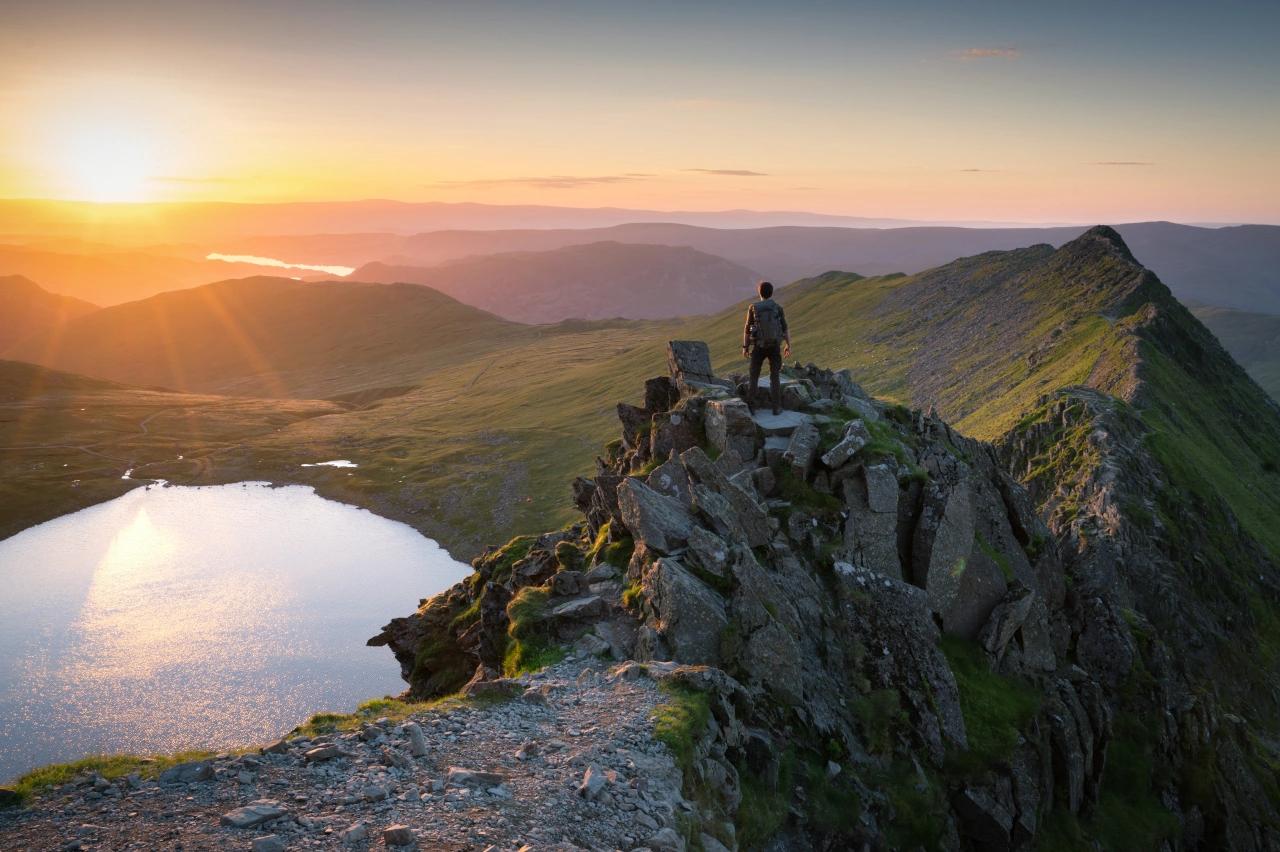 Mobile header background