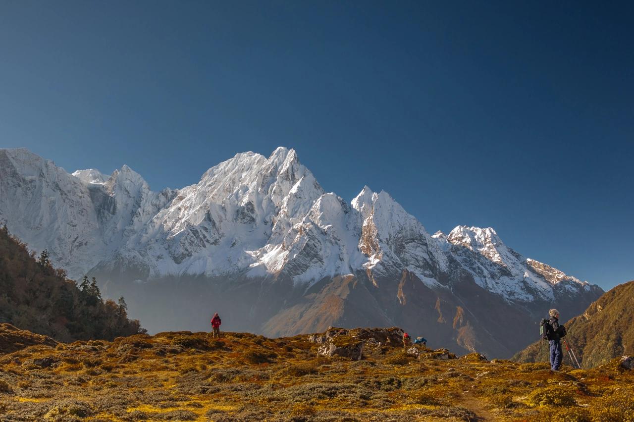 Mobile header background