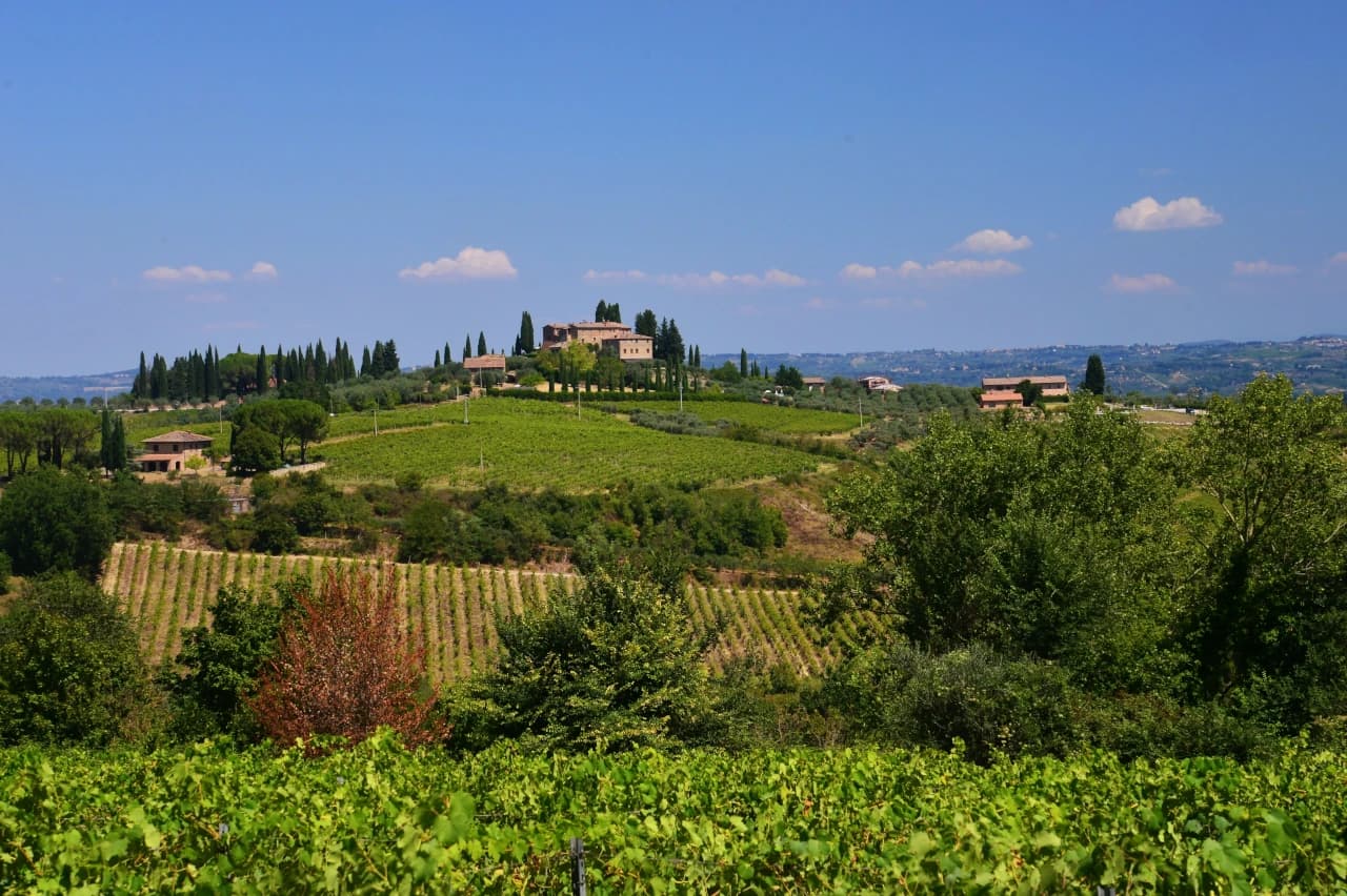 Mobile header background