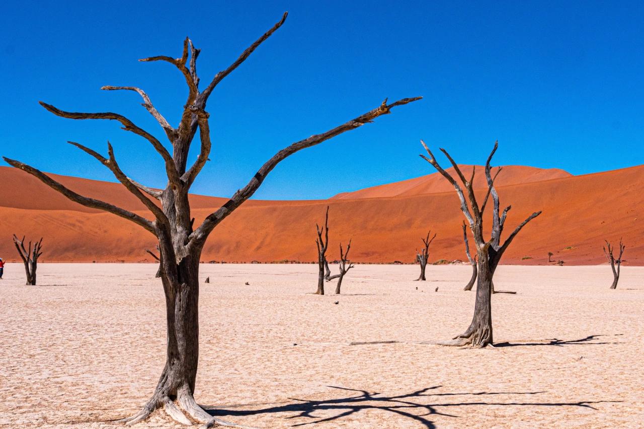 Mobile header background