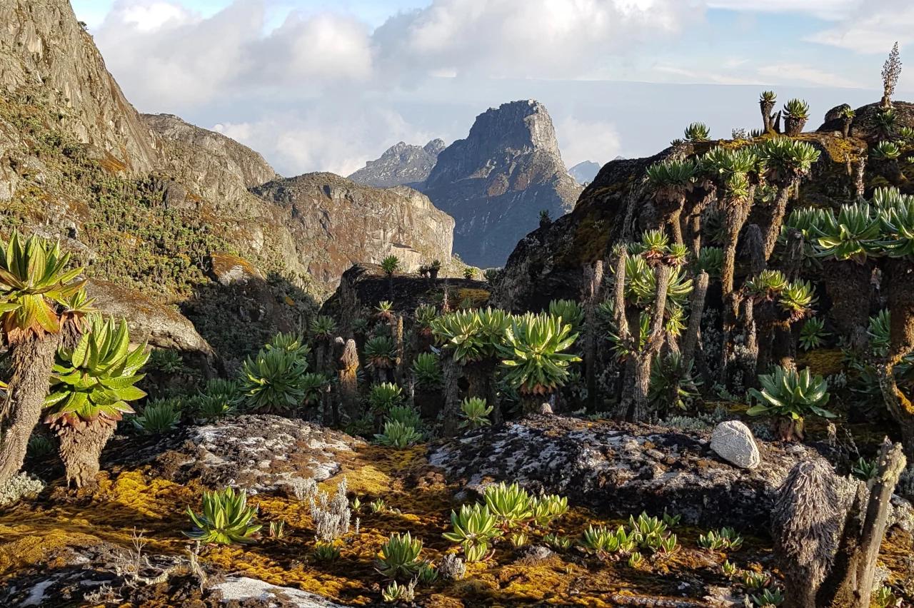 Mobile header background