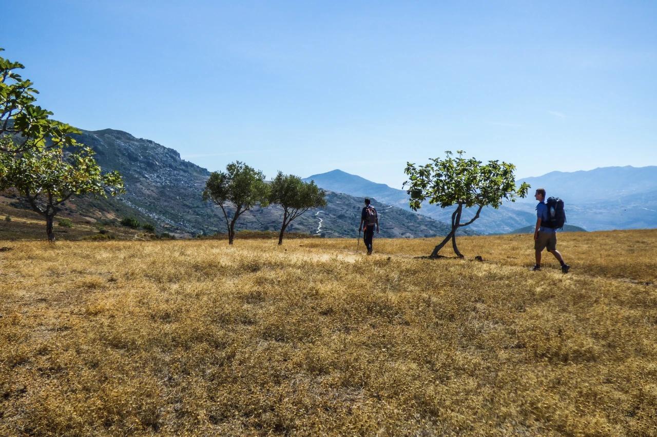 Mobile header background