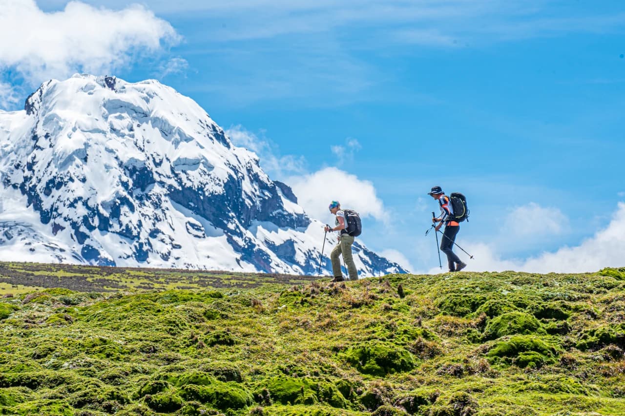 Mobile header background