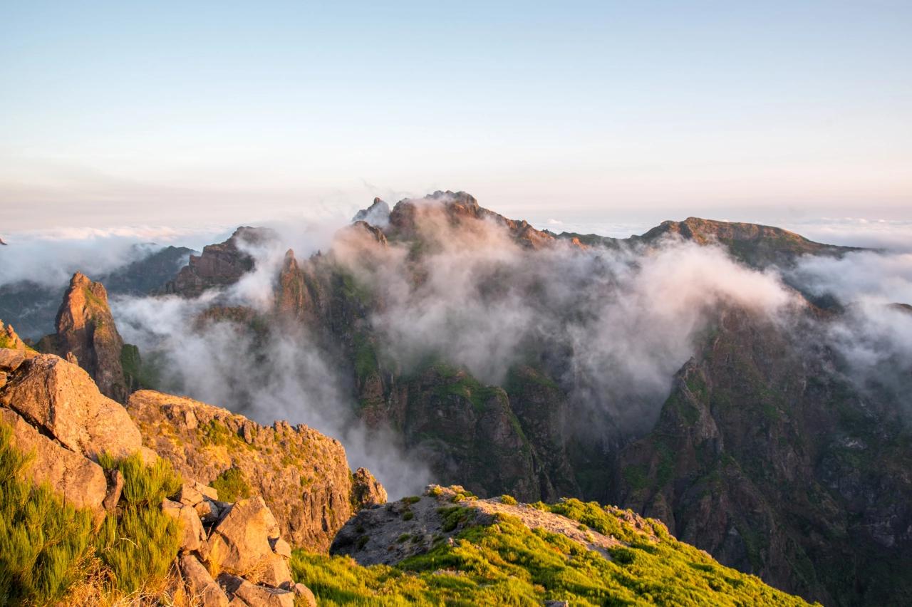 Mobile header background