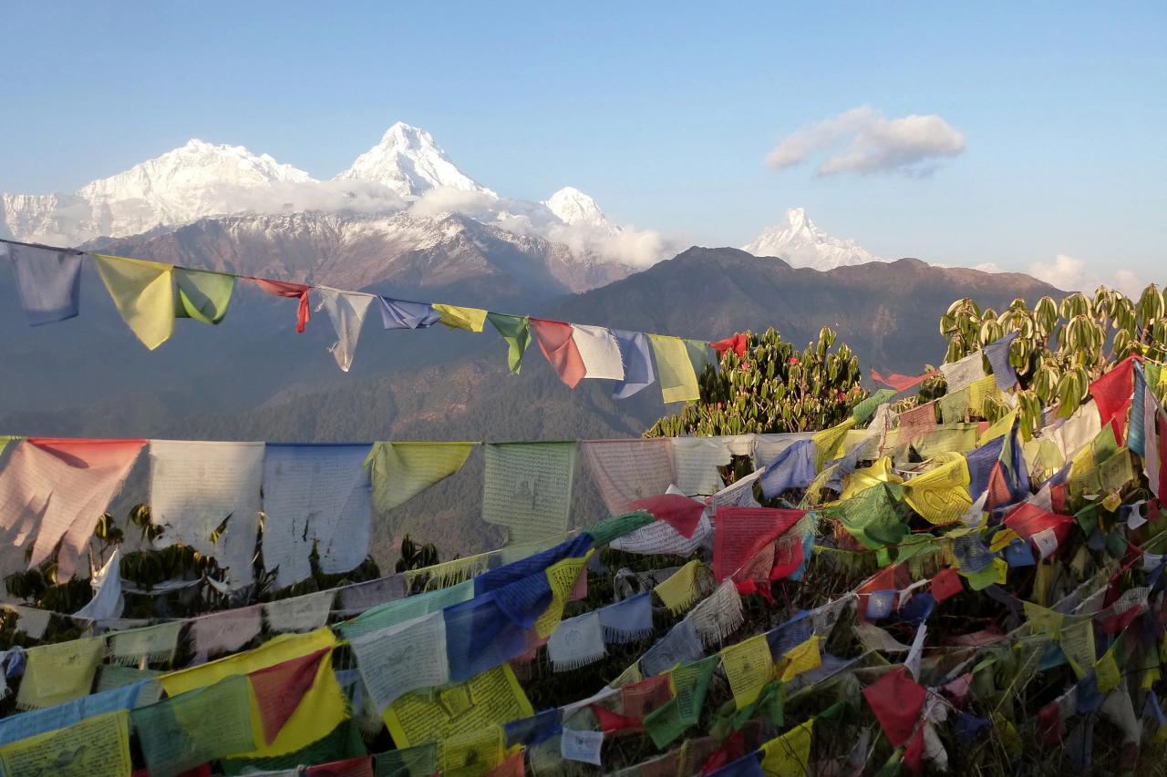 Mobile header background