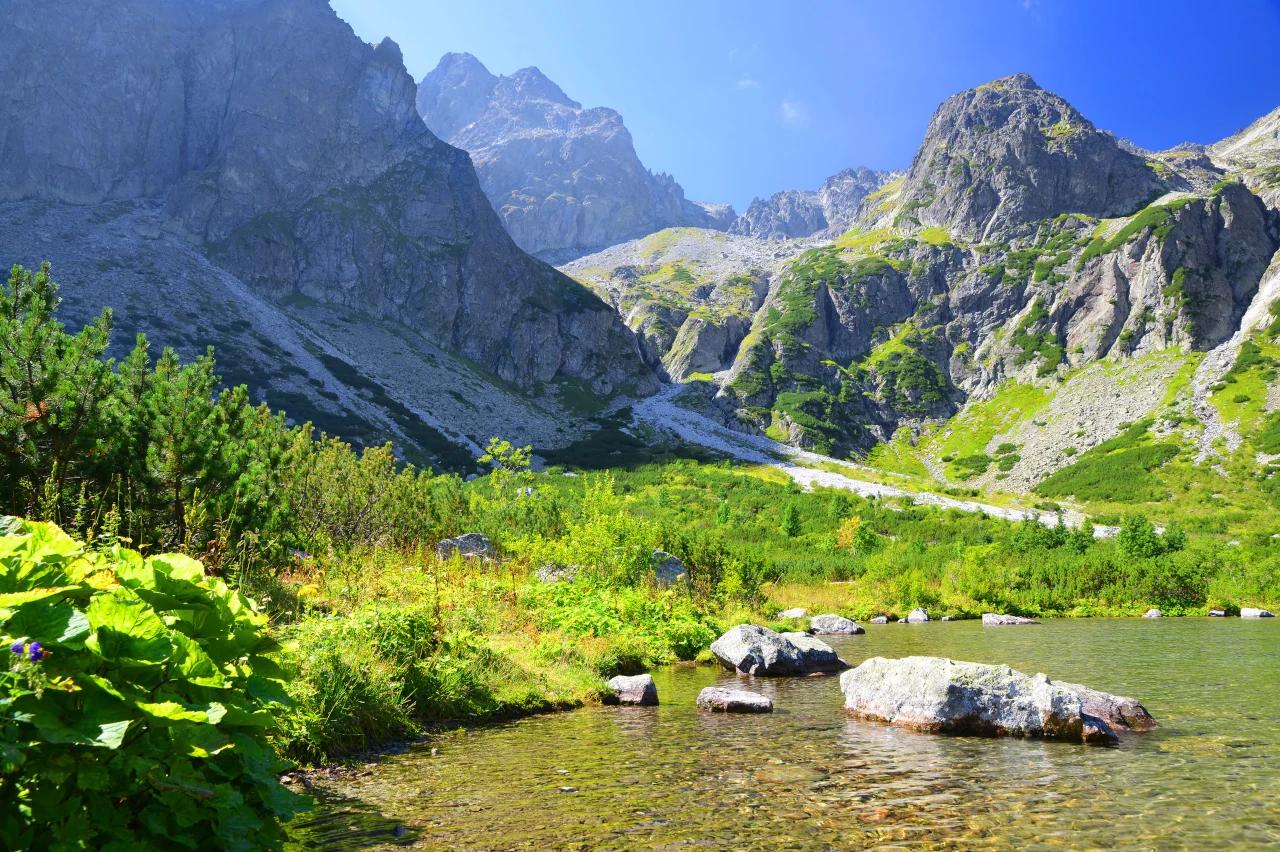 Mobile header background