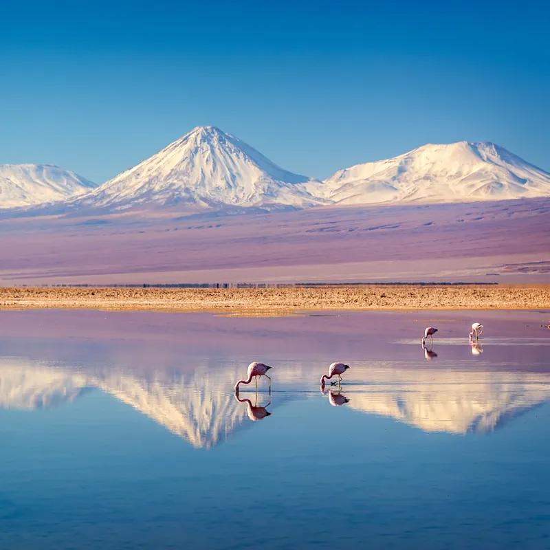 Mobile header background