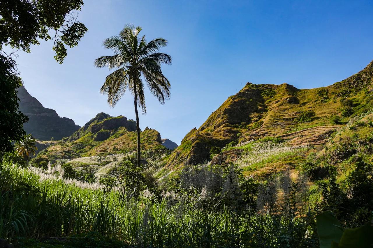 Mobile header background