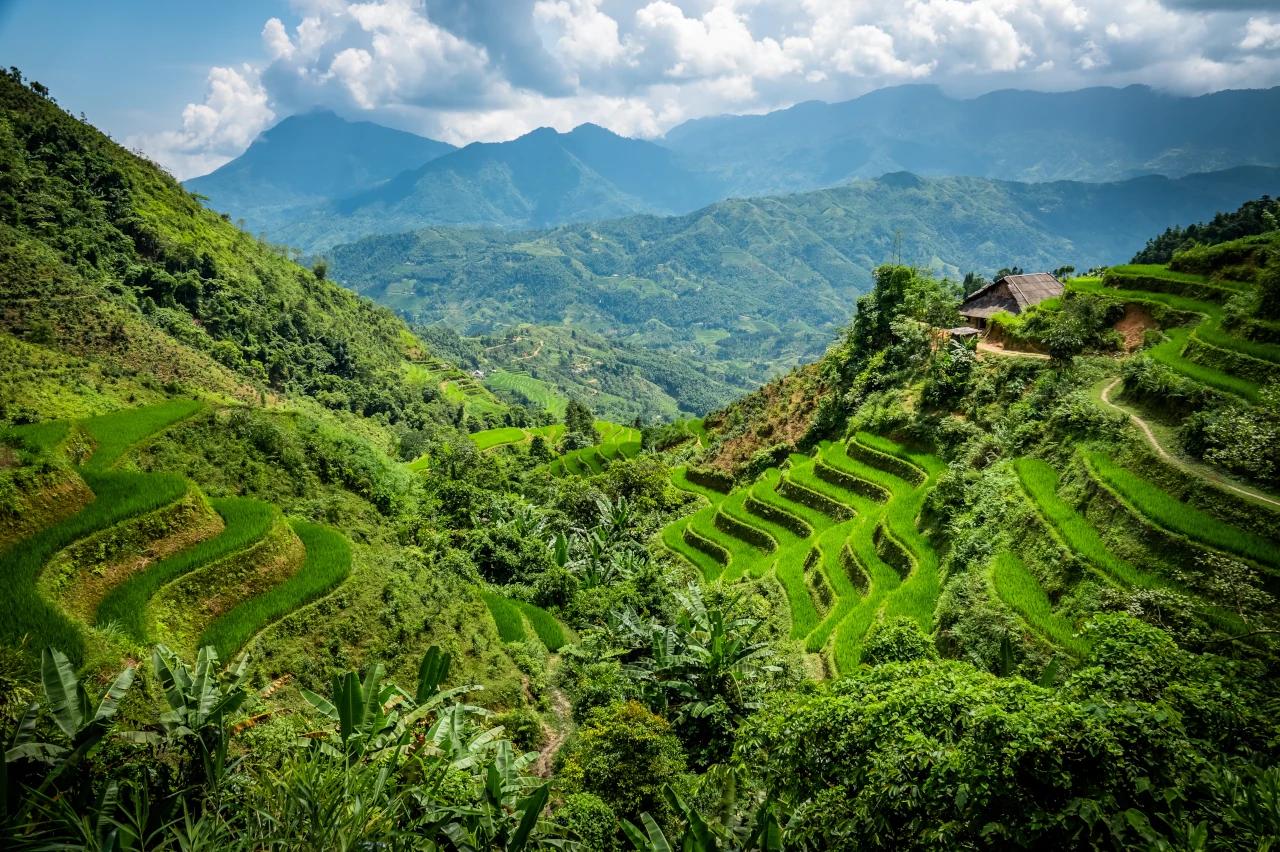 Mobile header background