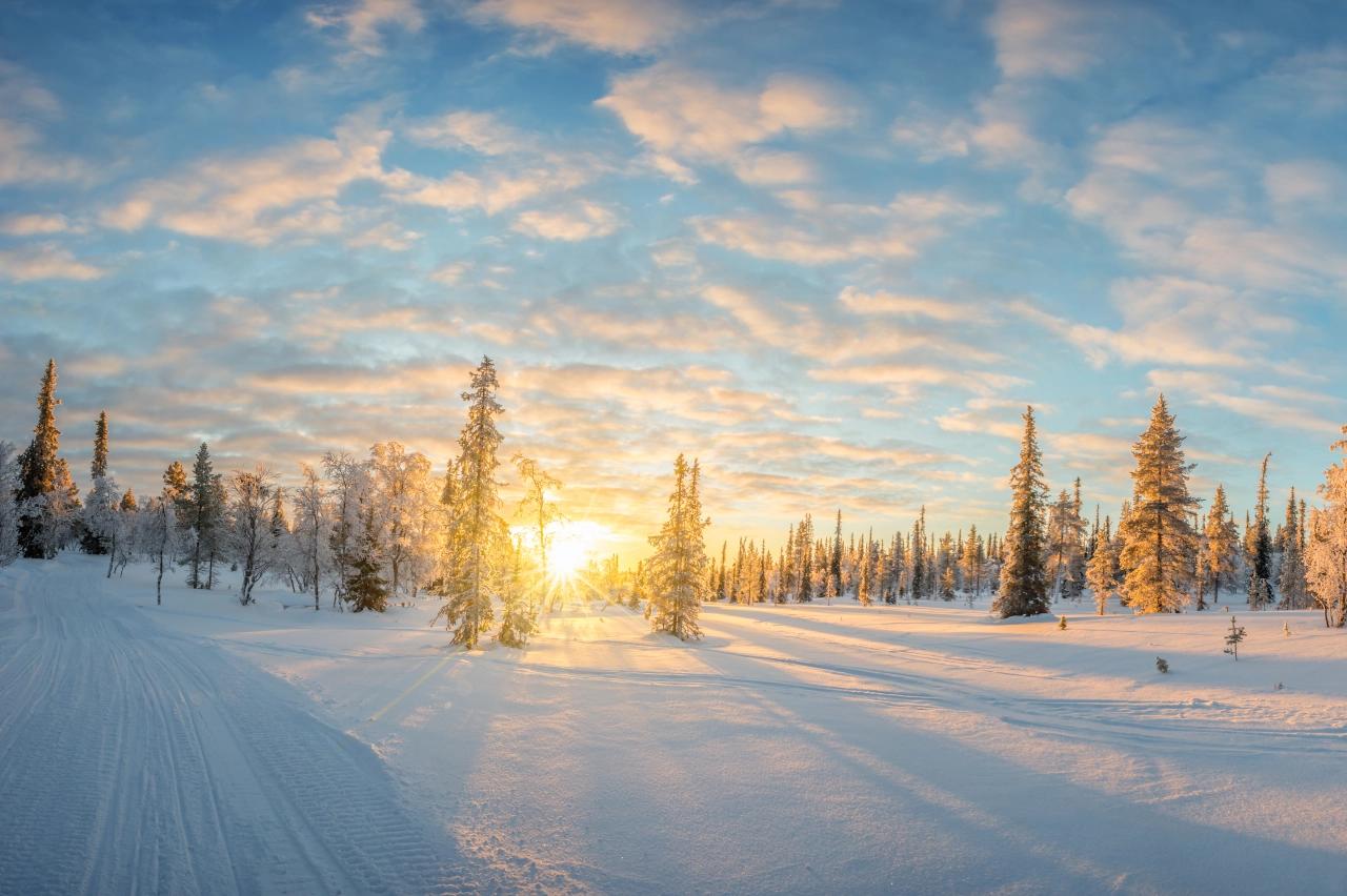 Mobile header background