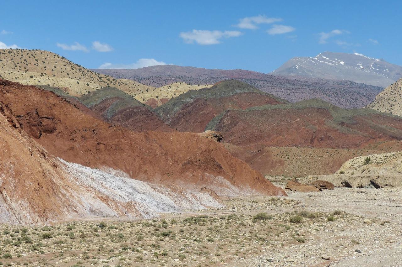 Mobile header background