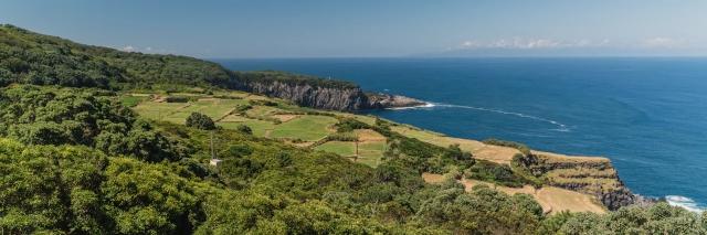 Luftaufnahme von Küstenlandschaft am Meer mit grünem Wald und Wiesen bei blauem Himmel