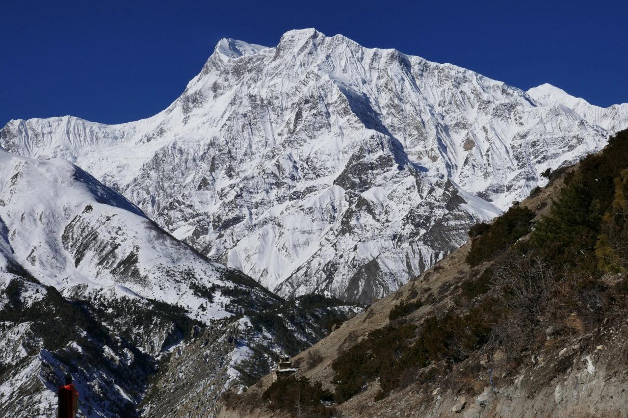 Mobile header background