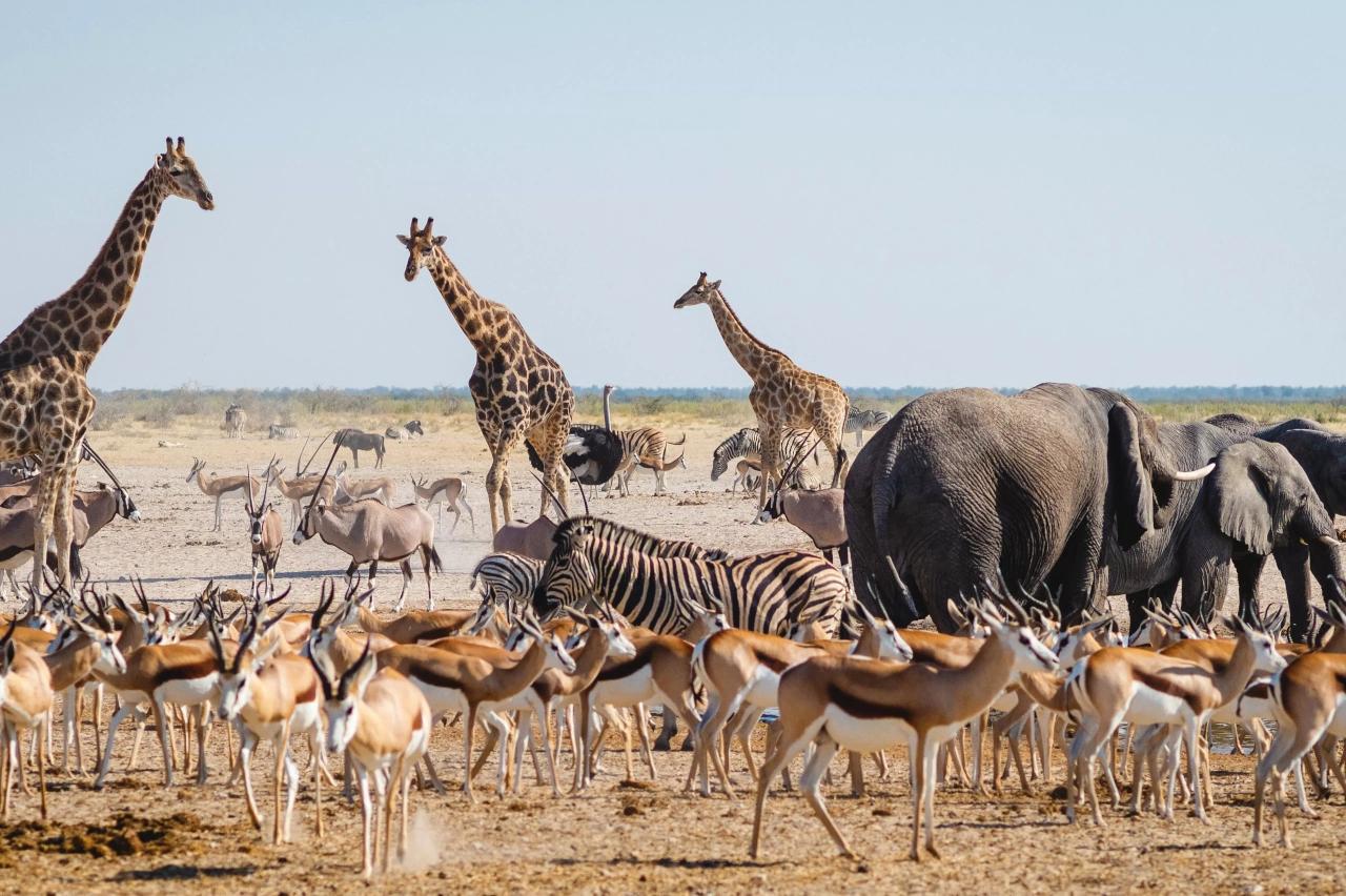 Mobile header background