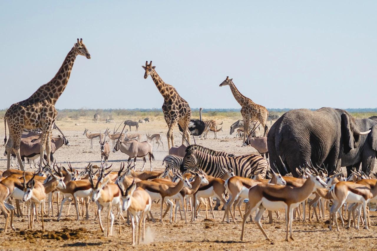 Mobile header background