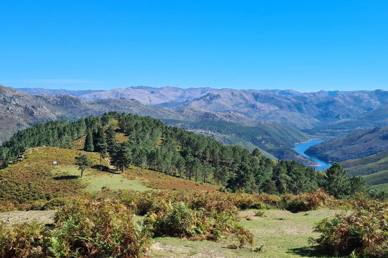 Mobile header background