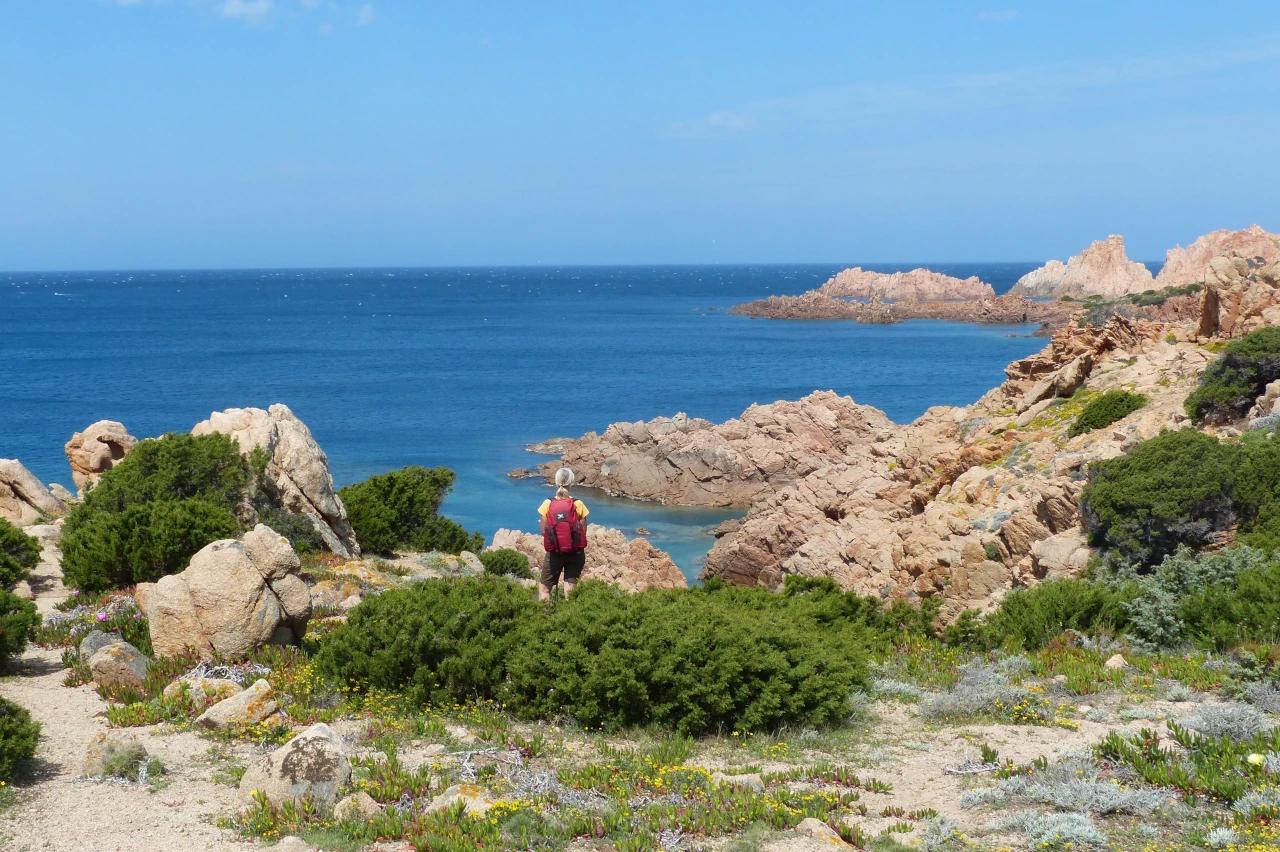 Mobile header background