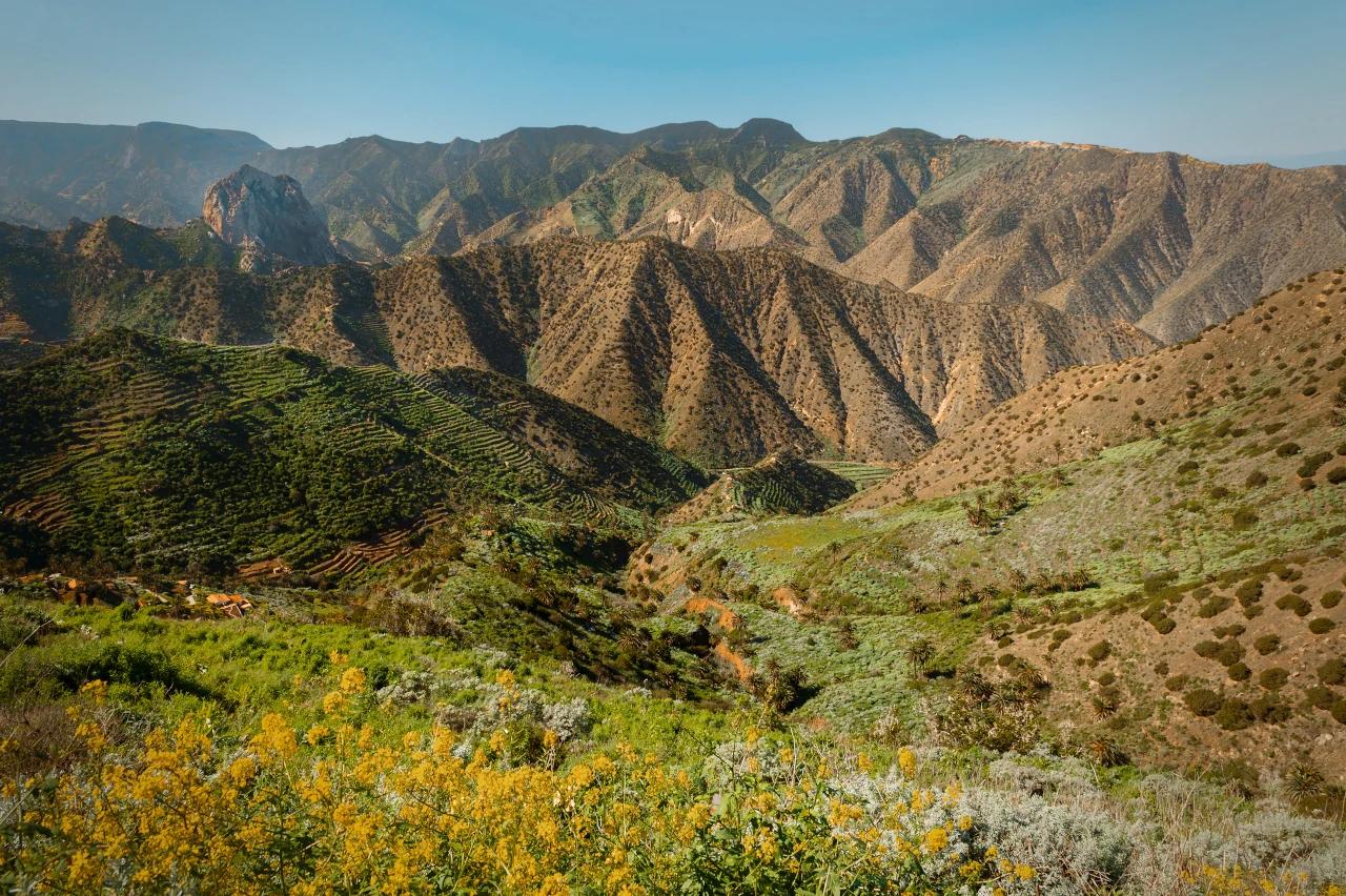 Mobile header background