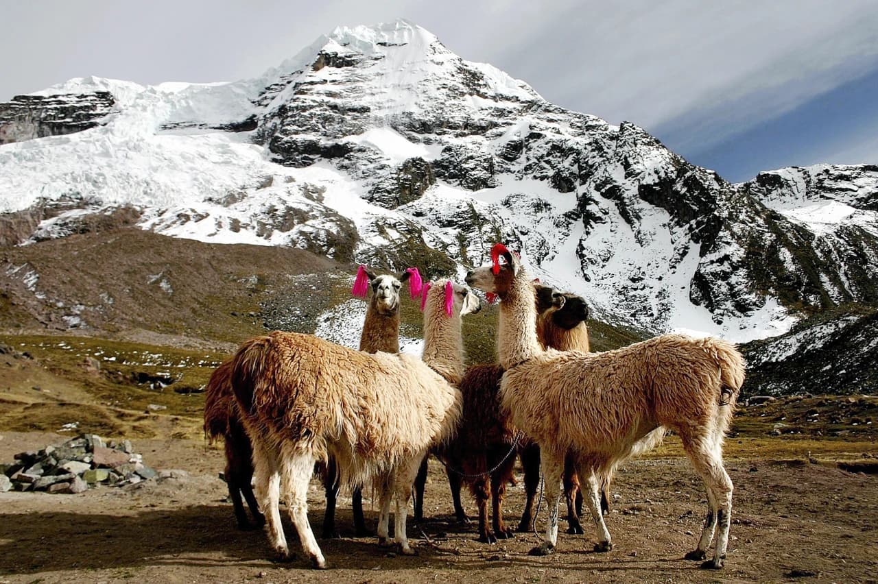 Mobile header background