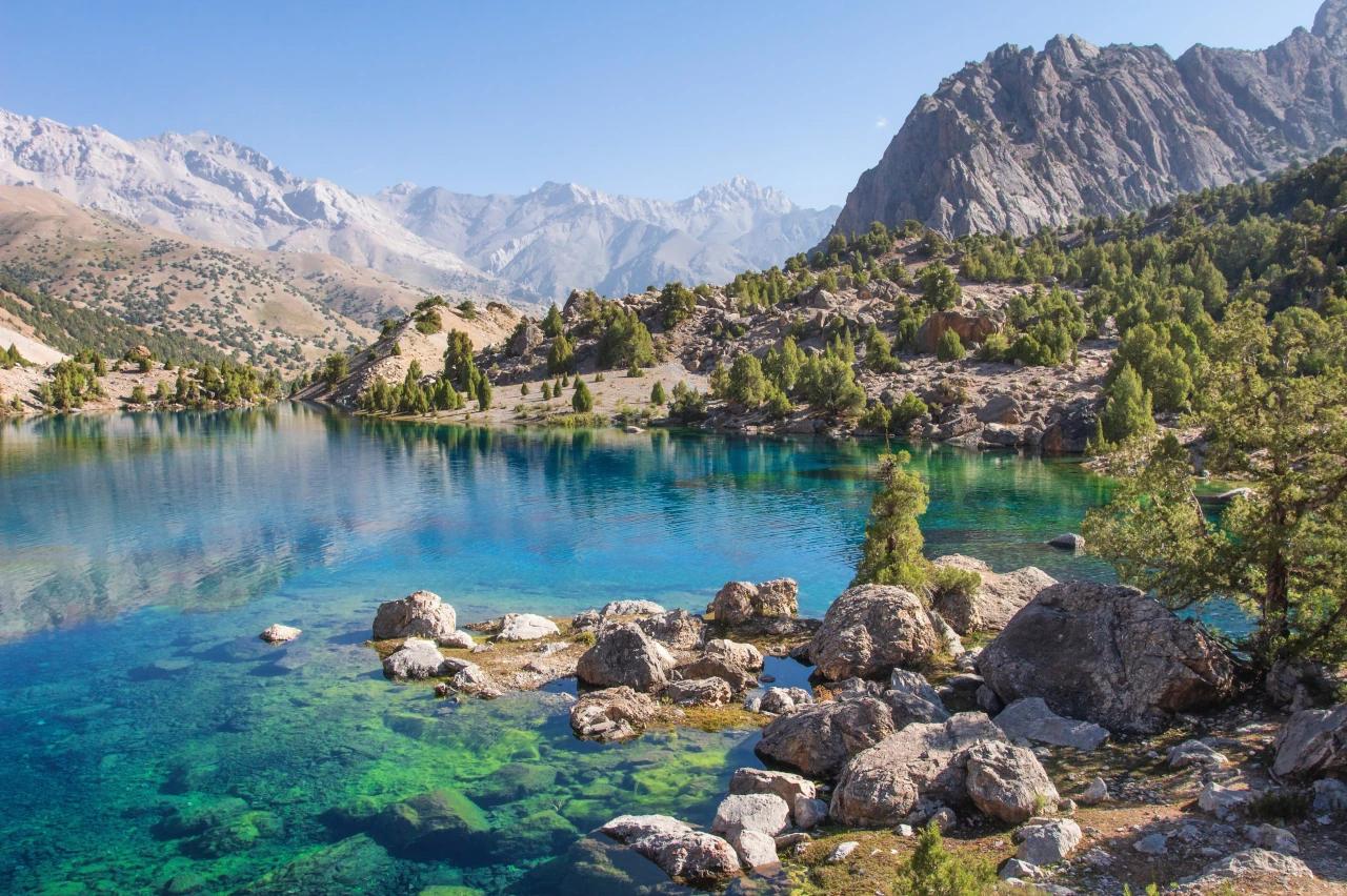 Mobile header background