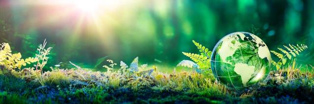 Ein Globus aus Glas liegt im grünen Wald der mit Sonnenlicht durchzogen ist