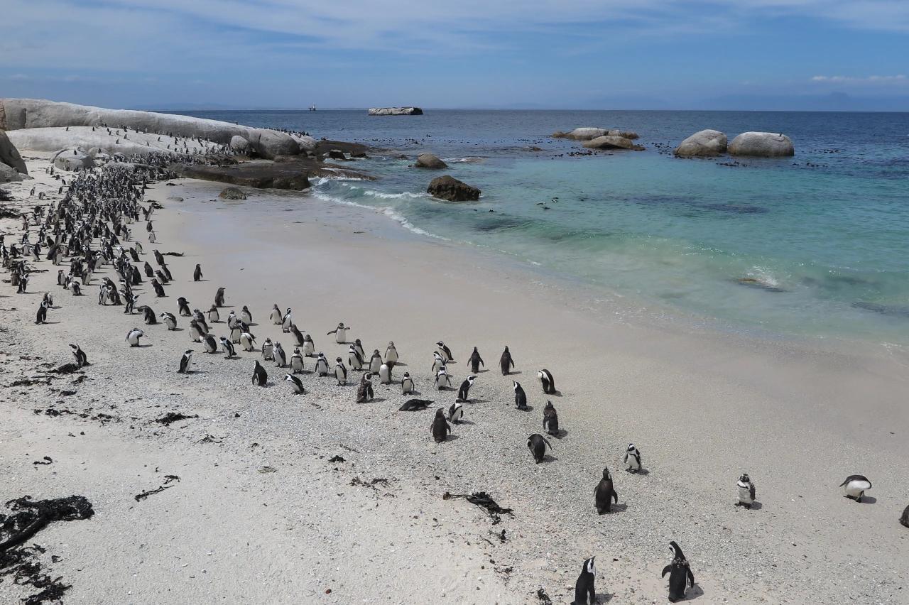 Mobile header background