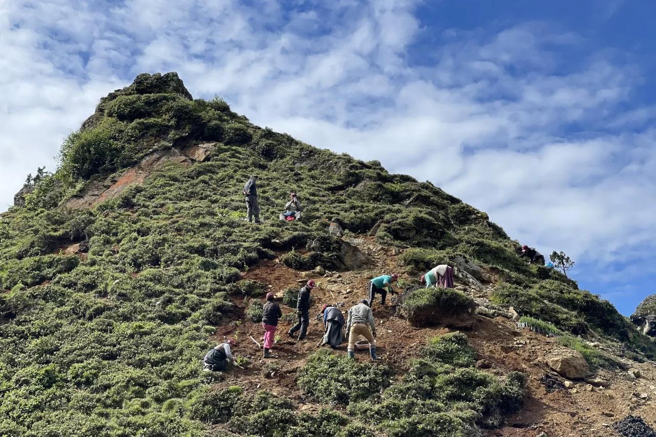 Mobile header background