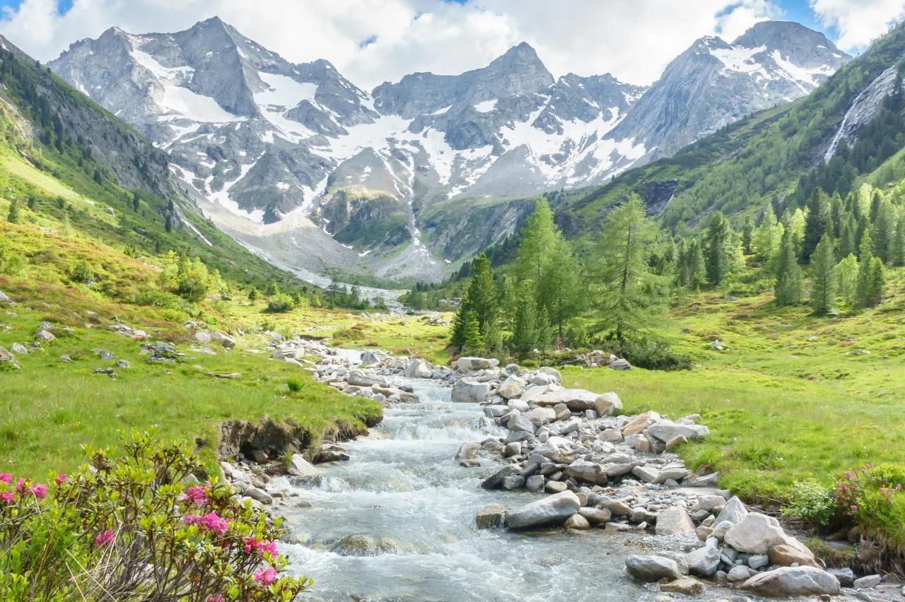 Mobile header background