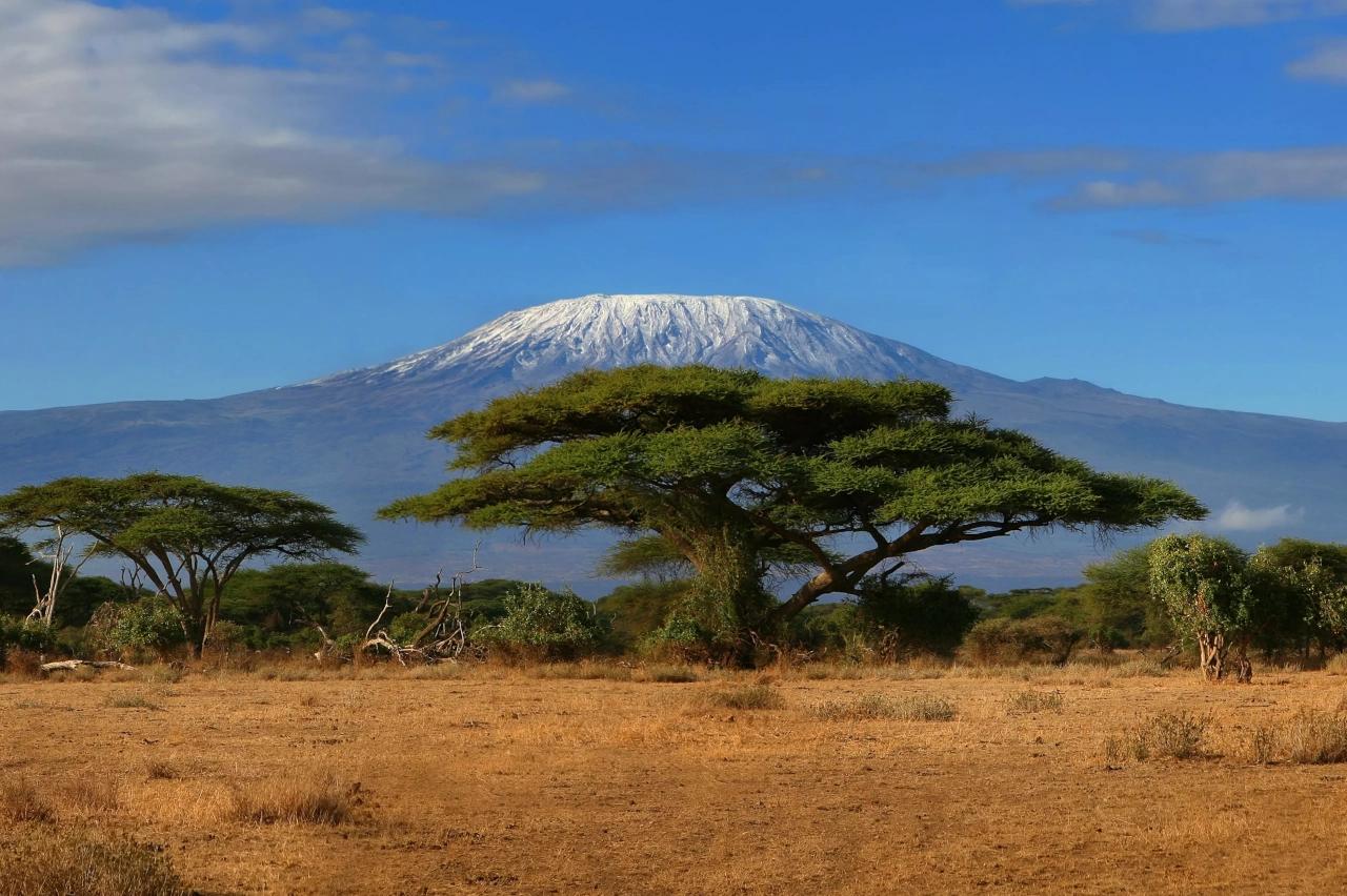 Mobile header background