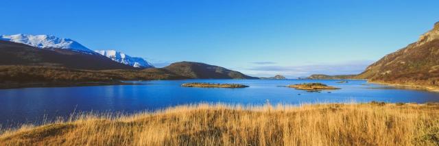 Braunes Gräser vor einer Bucht mit blauem Wasser und schneebedeckten Bergen im Hintergrund unter blauem Himmel