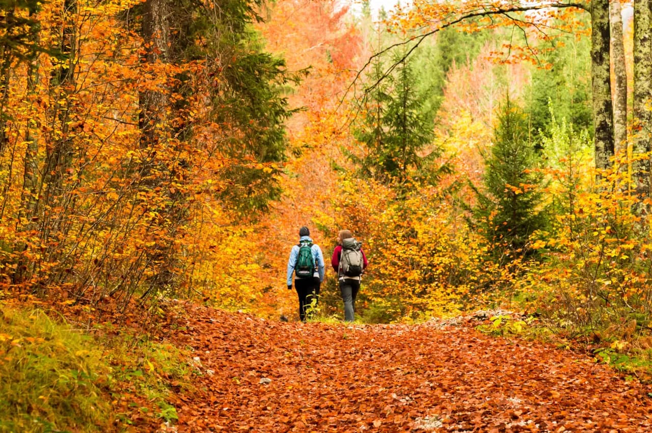 Mobile header background